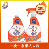 专业对决 浣客与威猛先生洗涤产品深度对比分析